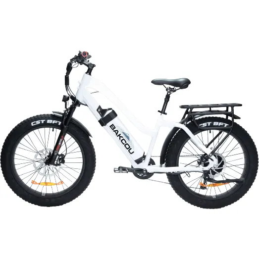 Bakcou Flatlander Step-Through (ST) 24" Fat Tire Electric Bike