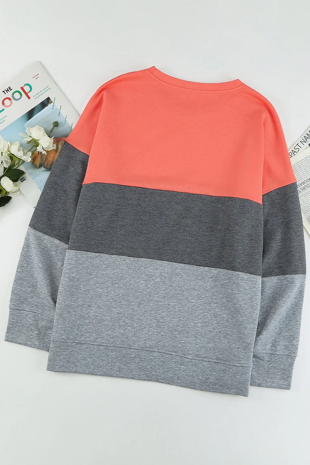 Colorblock Plus Size Sweatshirt