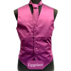 Eggplant Mens Solid Vest