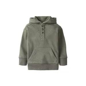 Henley Hoodie | Pine