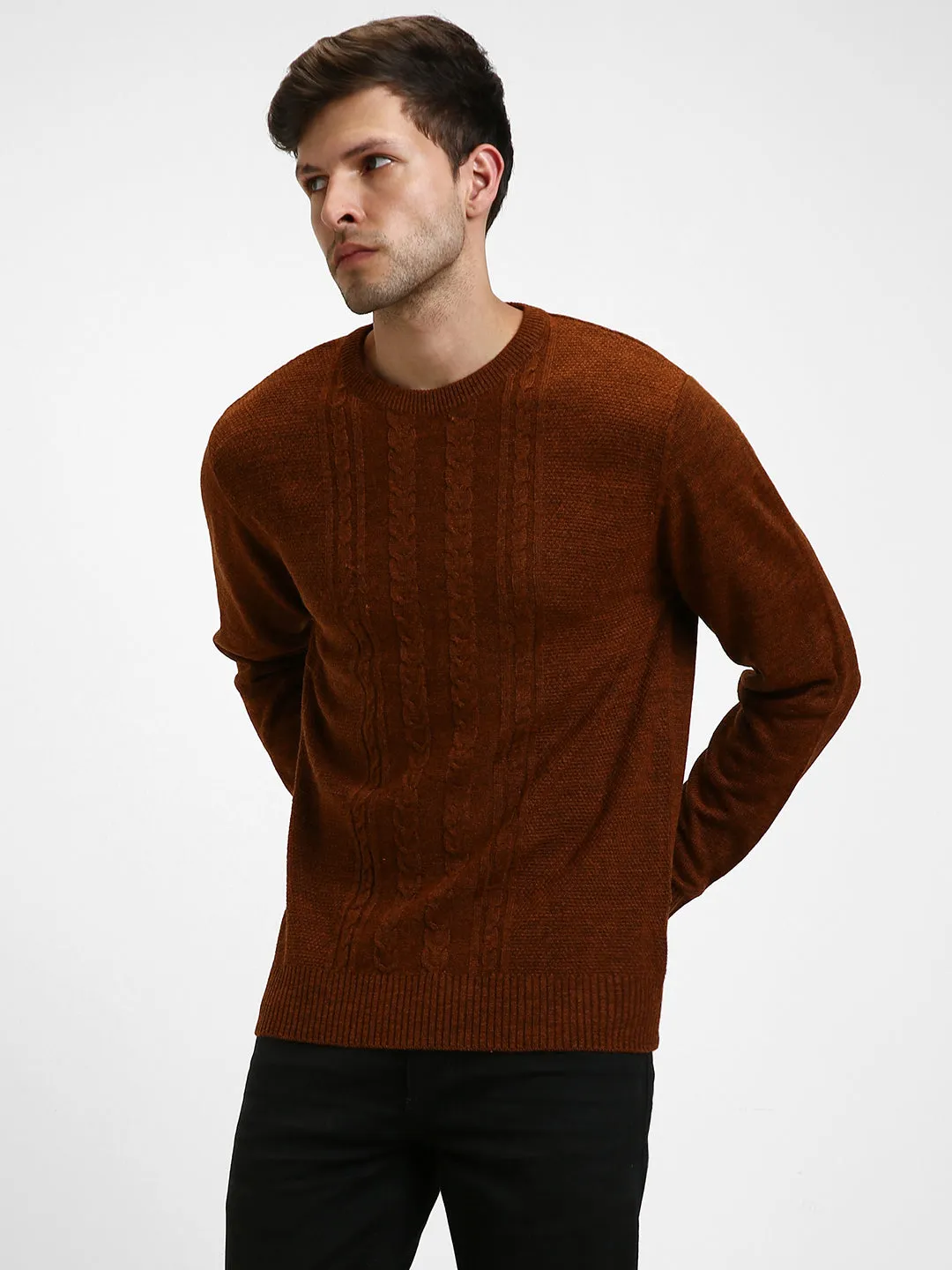 Men's Long Sleeves Cable Knit Acrylic Pullover Sweater