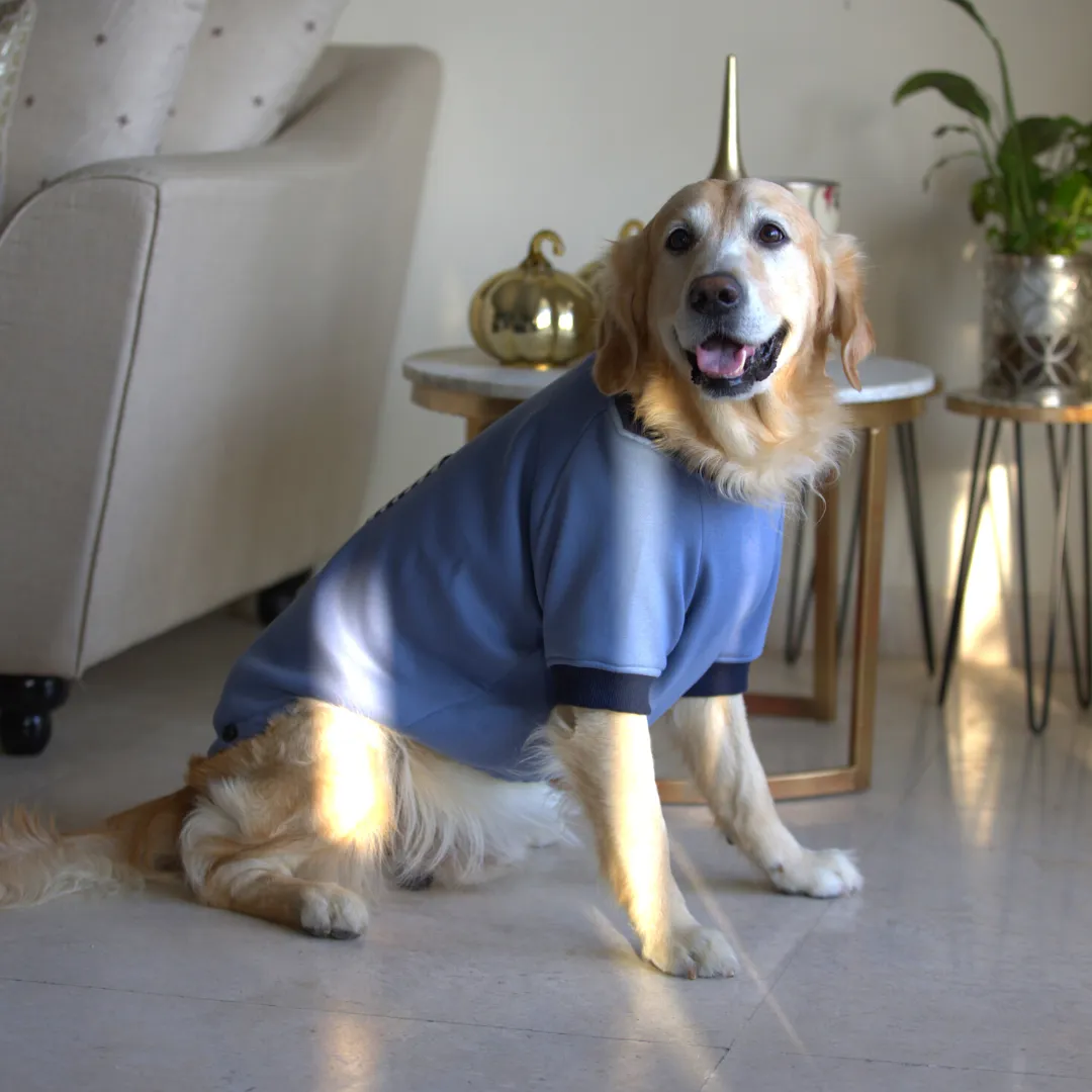 PoochMate Stone Blue Dog Sweatshirt