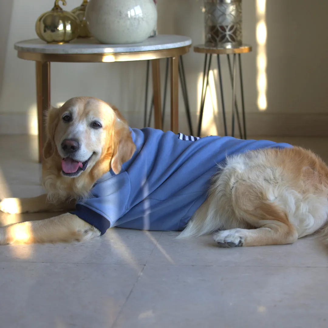 PoochMate Stone Blue Dog Sweatshirt